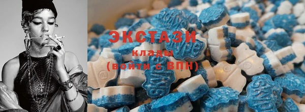 бошки Инта